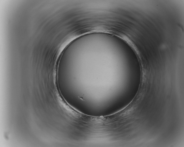 X0000102300955200808011537