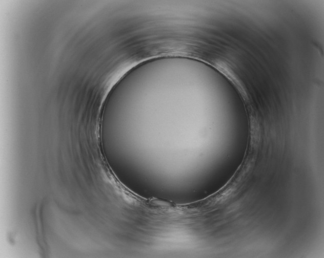 X0000102300956200808011537