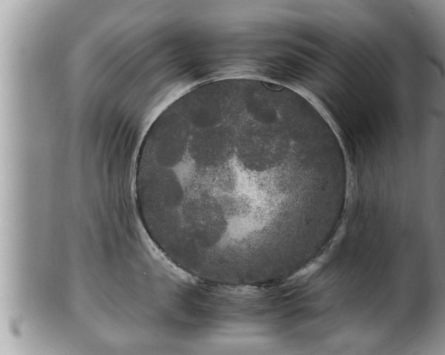 X0000102300957200808011537