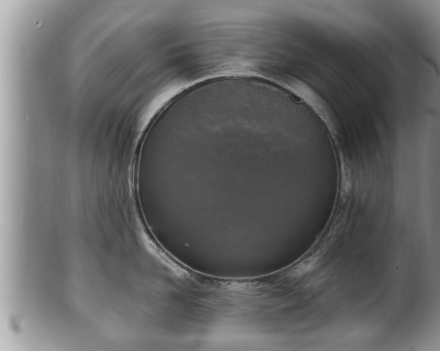 X0000102300958200808011537