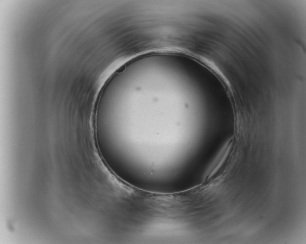 X0000102300959200808011537