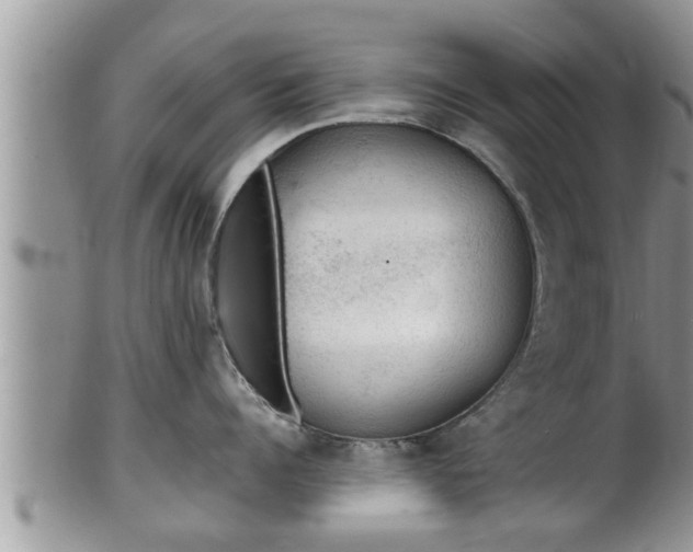 X0000102300960200808011537