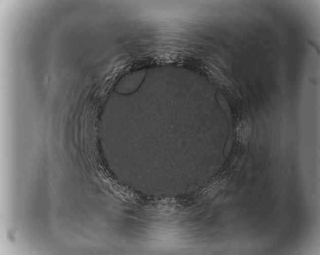 X0000102300961200808011536