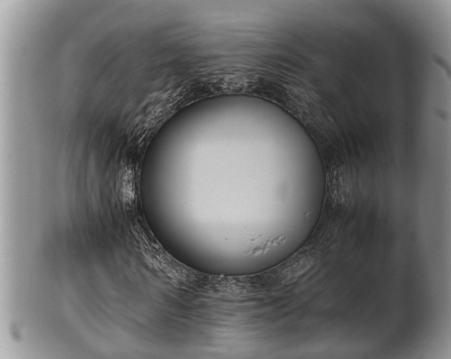 X0000102300962200808011536