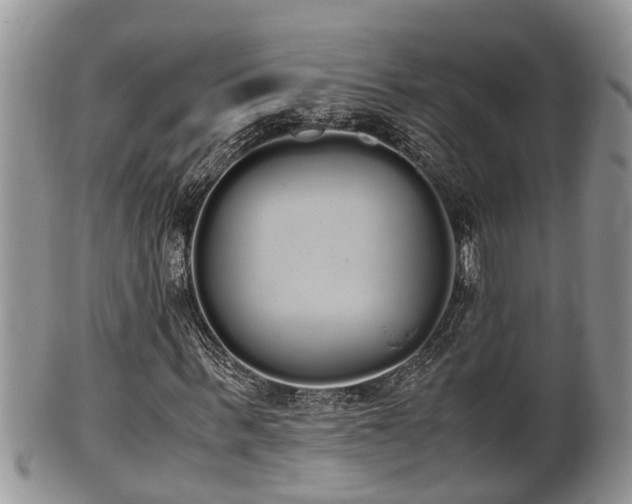 X0000102300963200808011536