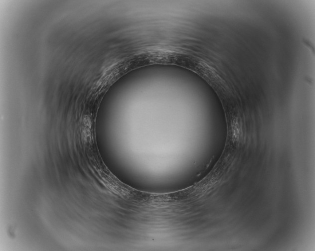 X0000102300964200808011536