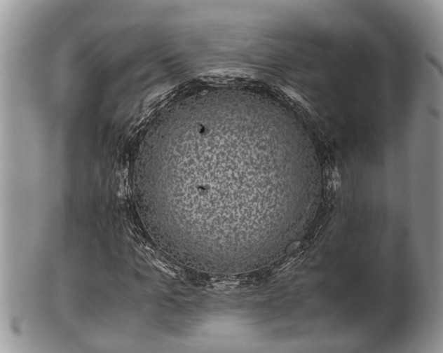 X0000102300965200808011536