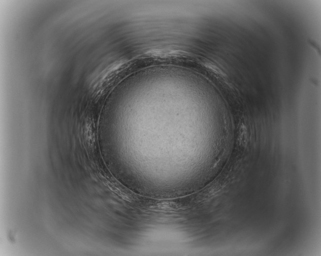 X0000102300966200808011536