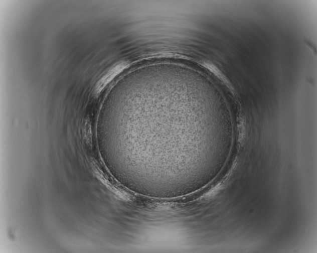 X0000102300969200808011536