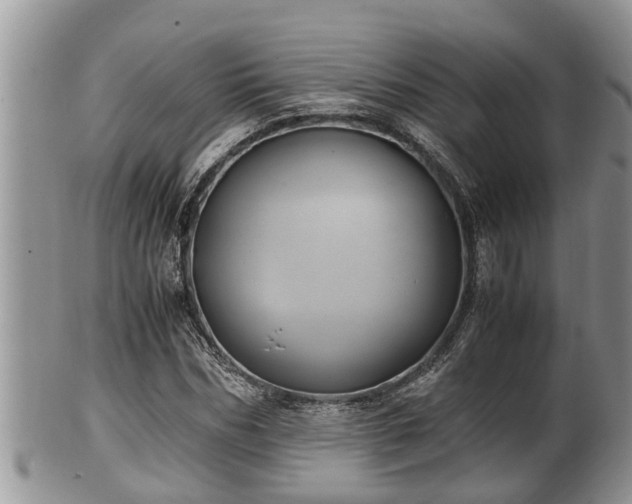 X0000102300970200808011536