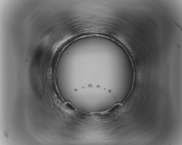 X0000102300971200808011536