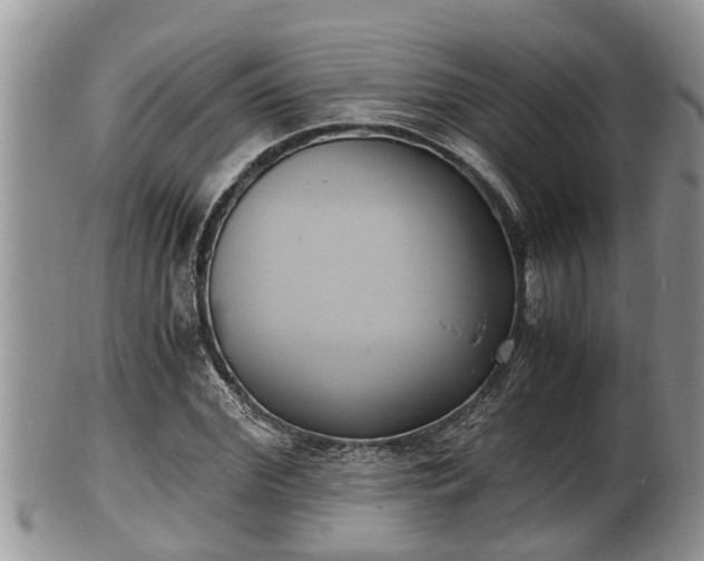 X0000102300972200808011536