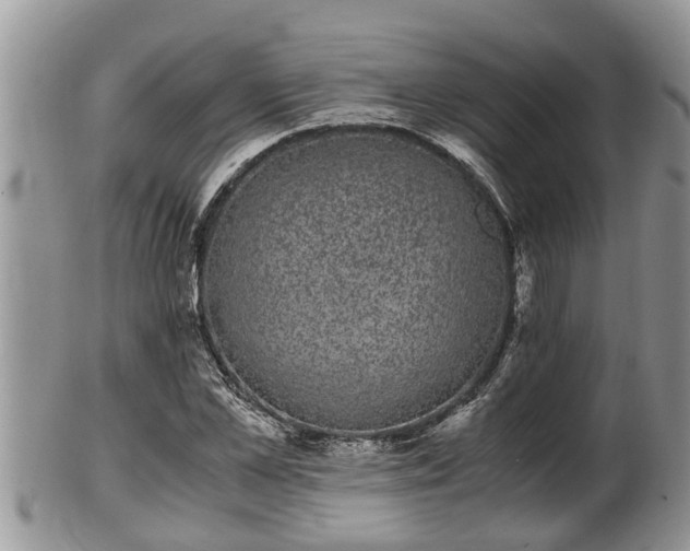 X0000102300973200808011536