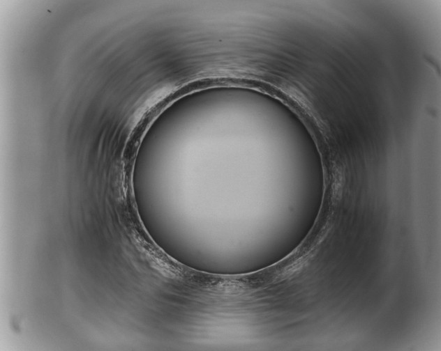 X0000102300974200808011536