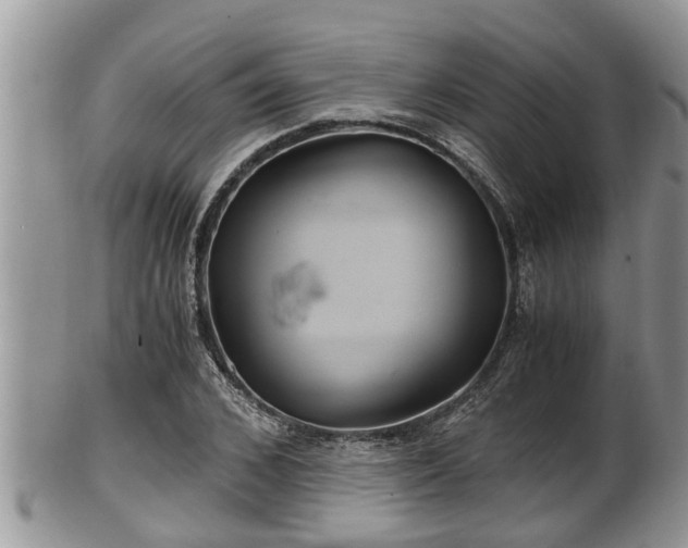 X0000102300976200808011536