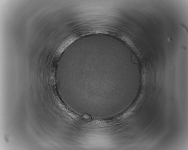 X0000102300977200808011535