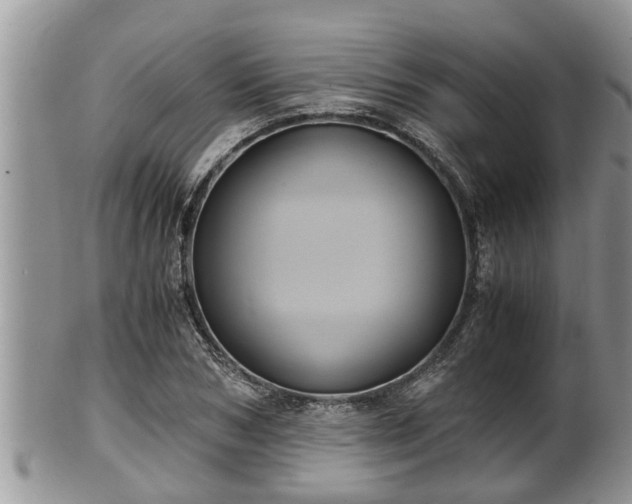 X0000102300978200808011535