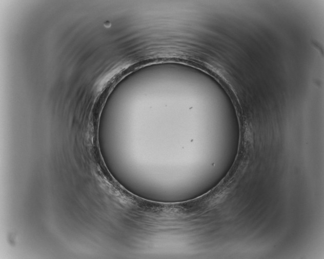 X0000102300979200808011535