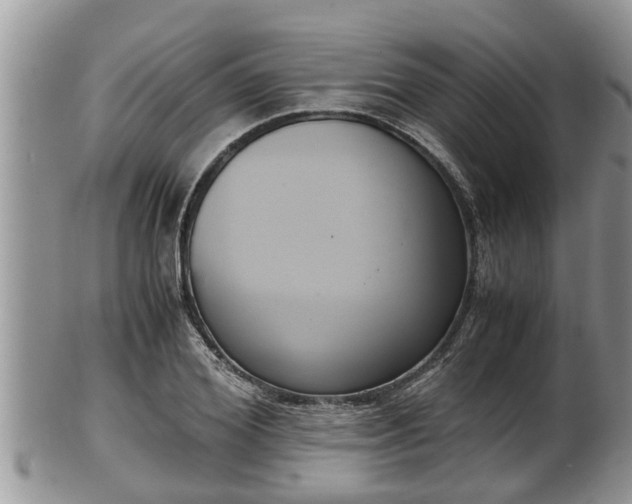 X0000102300980200808011535