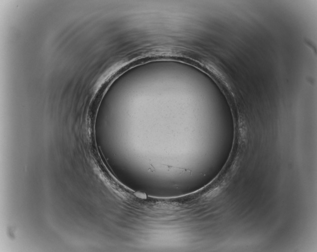 X0000102300981200808011535