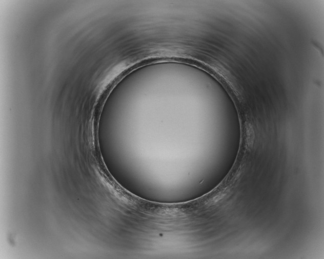 X0000102300982200808011535