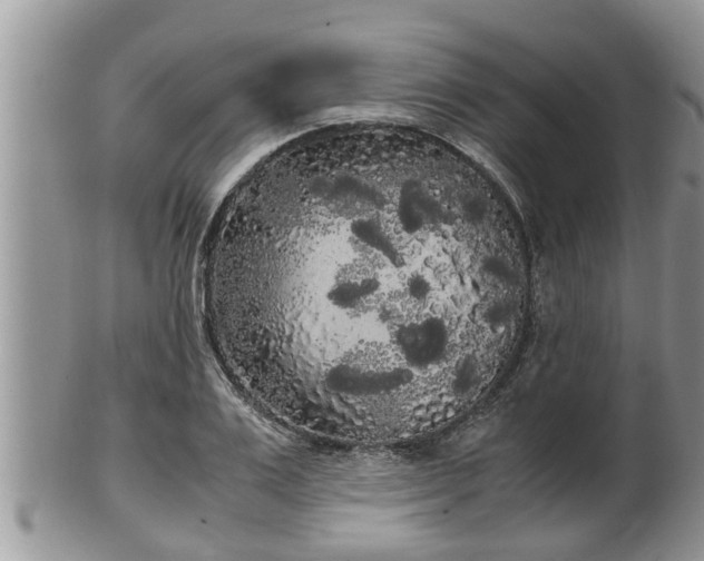 X0000102300983200808011535