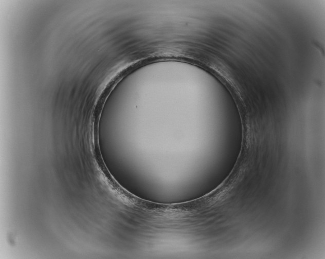 X0000102300984200808011535