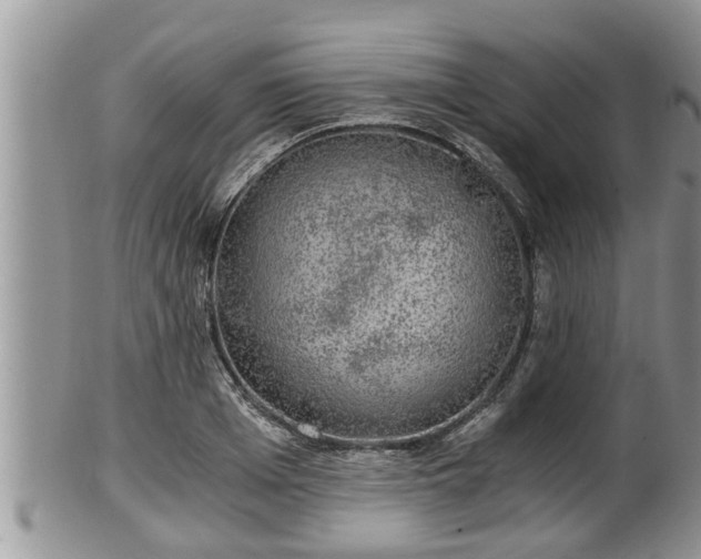 X0000102300985200808011535