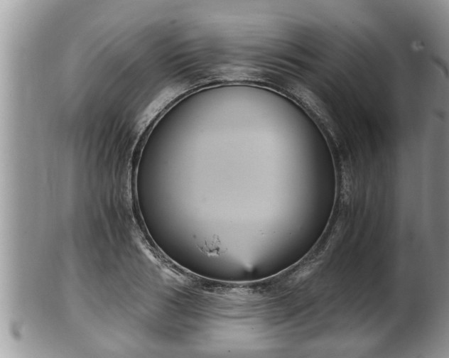 X0000102300986200808011535