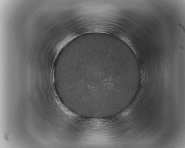 X0000102300987200808011535