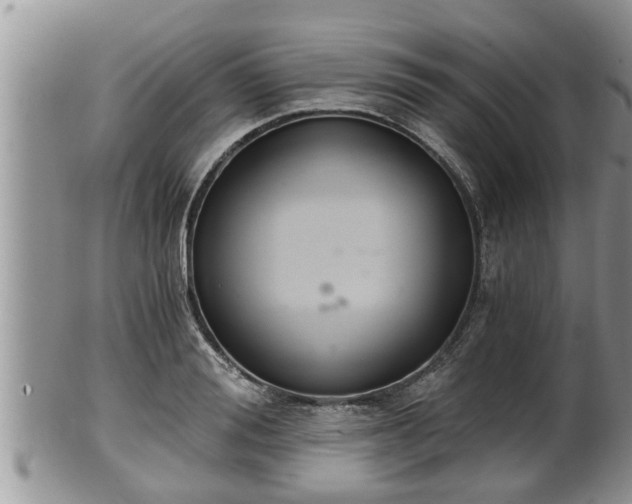 X0000102300988200808011535