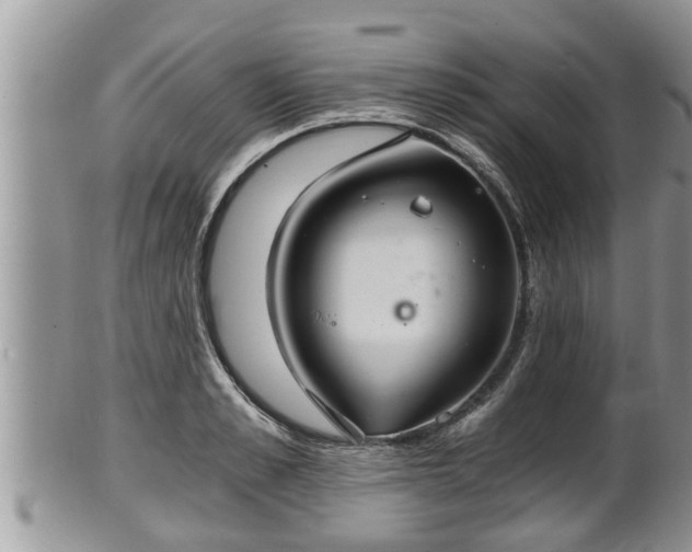 X0000102300989200808011535