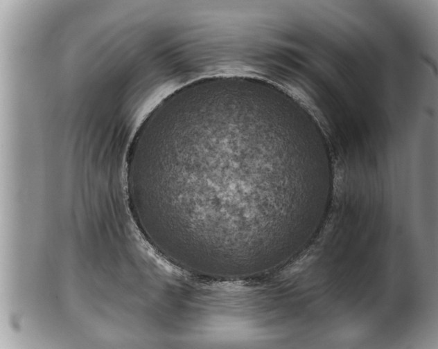 X0000102300990200808011535