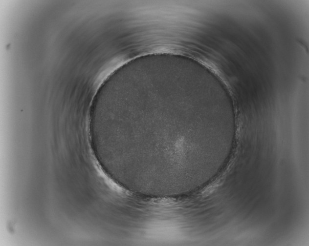 X0000102300991200808011535