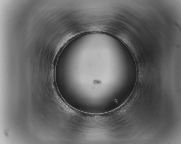 X0000102300992200808011535