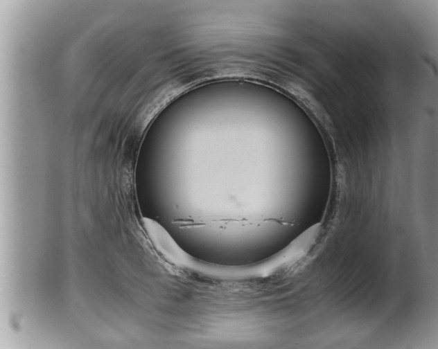 X0000102300993200808011535