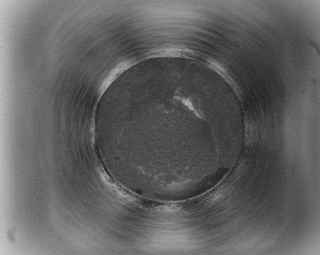 X0000102300994200808011535