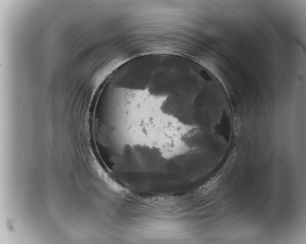 X0000102300995200808011535