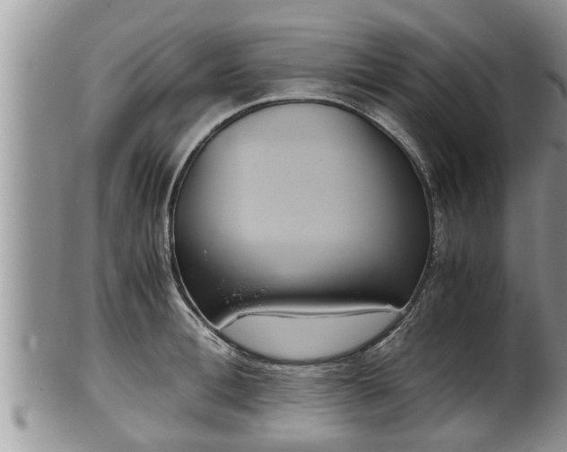 X0000102300996200808011535