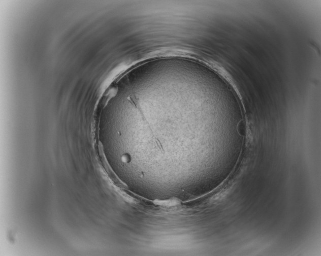 X0000102300997200808011535