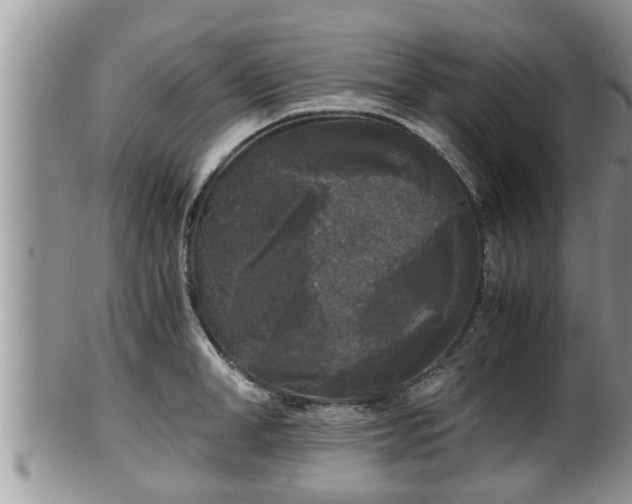 X0000102300998200808011535