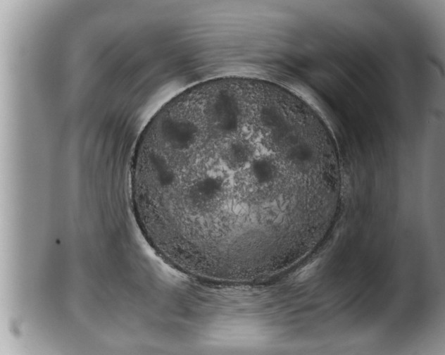 X0000102300999200808011535