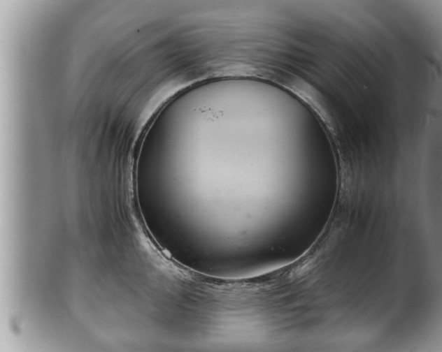 X0000102301000200808011535