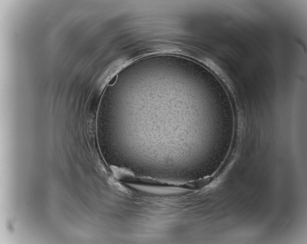 X0000102301001200808011535