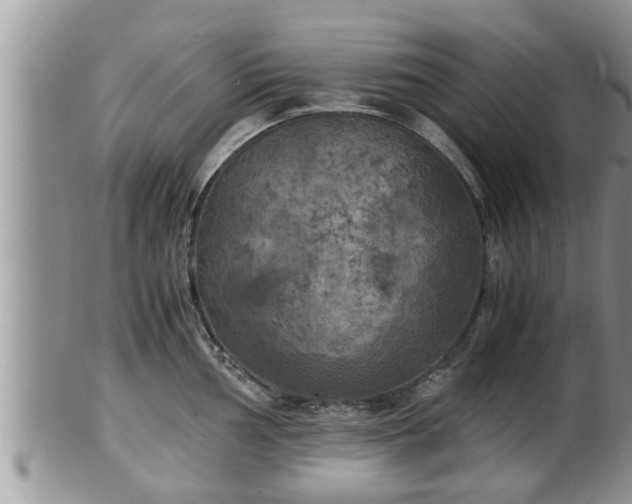 X0000102301002200808011535