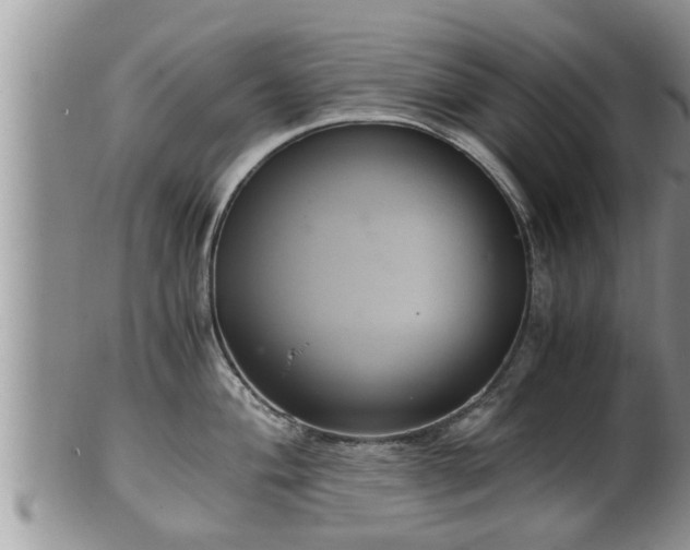 X0000102301004200808011535