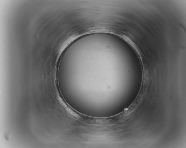 X0000102301005200808011535