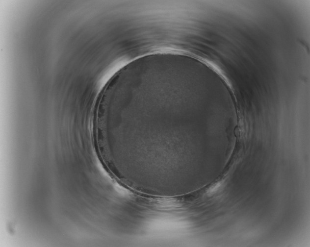 X0000102301007200808011535