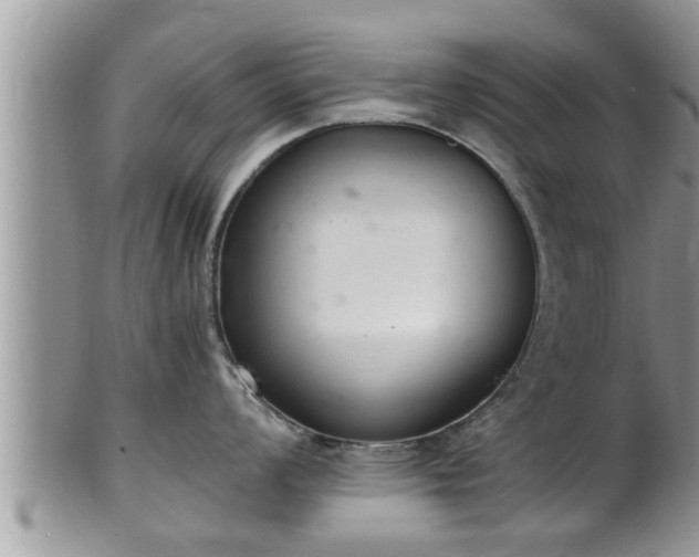 X0000102301008200808011535