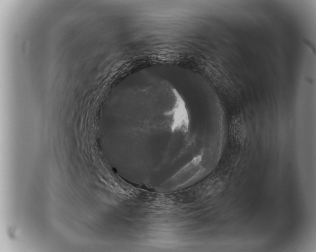 X0000102301009200808011534